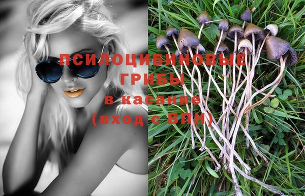 гидропоника Покров