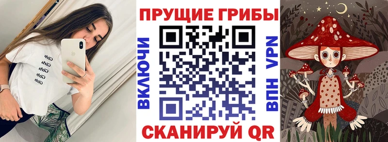 Галлюциногенные грибы прущие грибы  Ардатов 